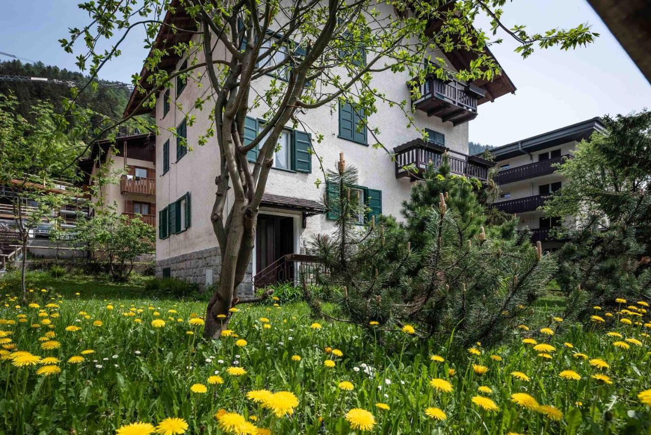 Villetta Vallesinella Madonna di Campiglio Exterior photo